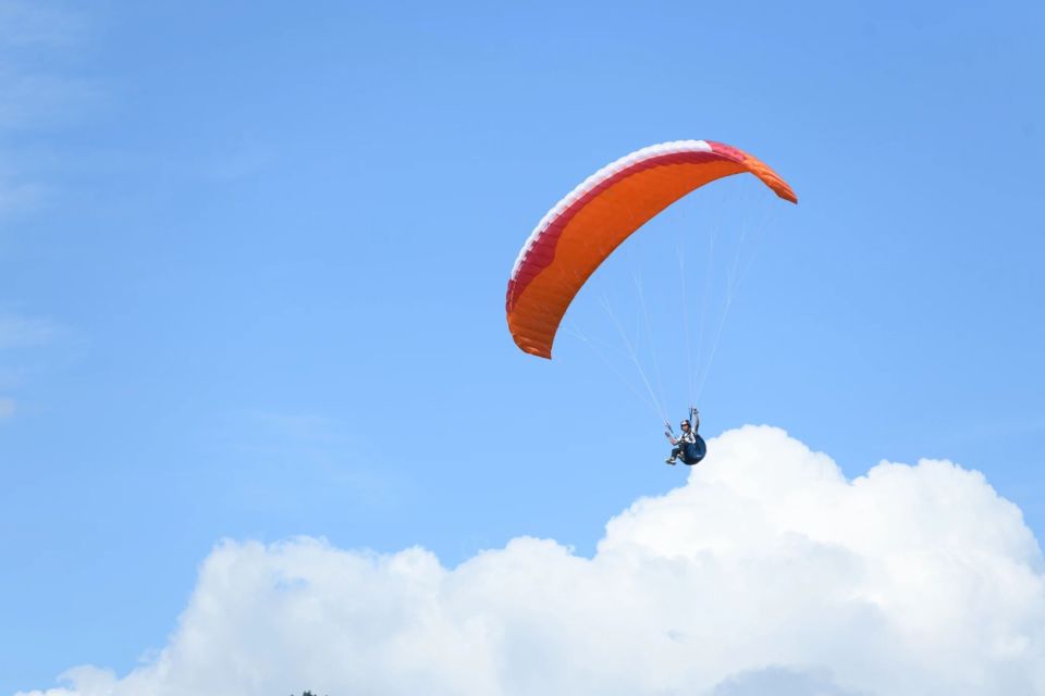 单位请示汇 单位请示汇