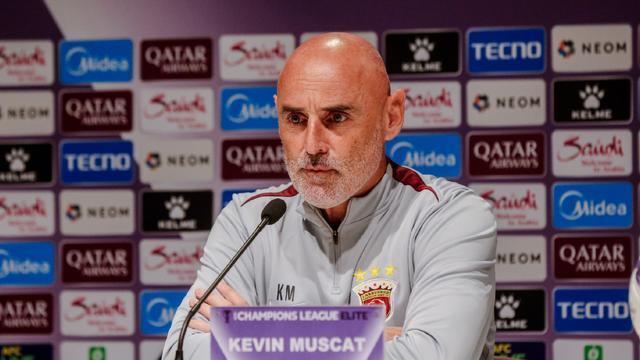 msn, 取得了两场, entit msn, 取得了两场, entit